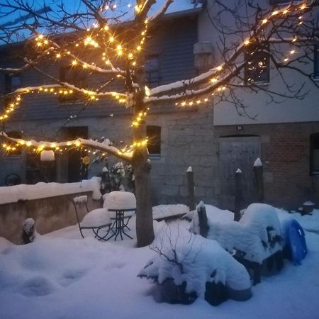 Ferienhof"Waldesel Rippersroda" ภายนอก รูปภาพ