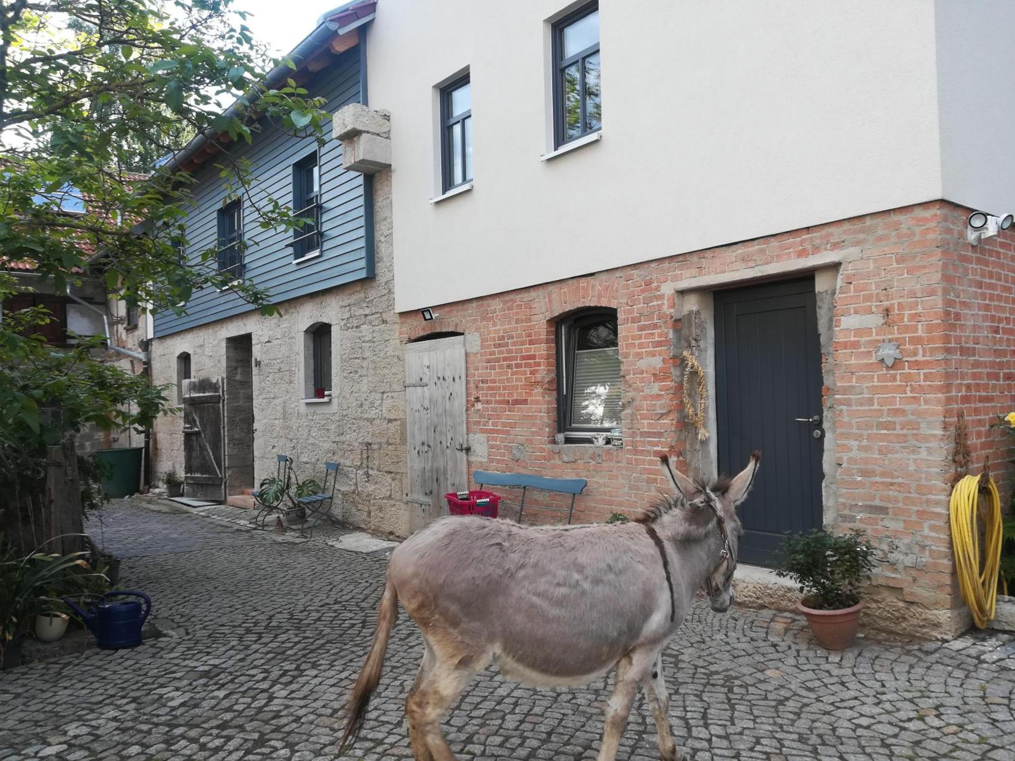 Ferienhof"Waldesel Rippersroda" ภายนอก รูปภาพ