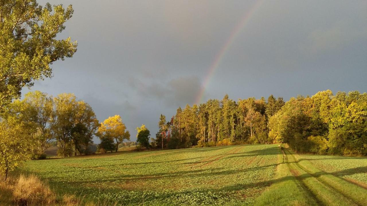 Ferienhof"Waldesel Rippersroda" ภายนอก รูปภาพ