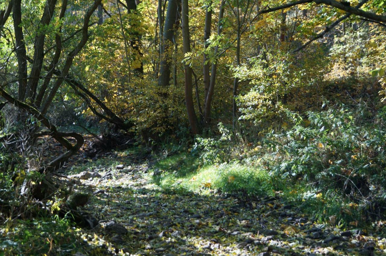 Ferienhof"Waldesel Rippersroda" ภายนอก รูปภาพ